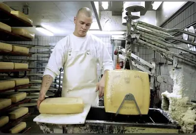 Danbo Sort Guld - Stark, fyllig och rund.