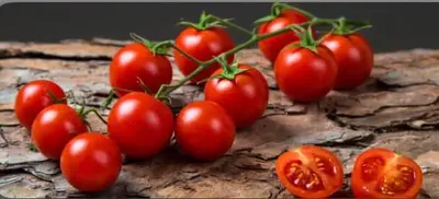 Salsa di Pomodorino Ciliegino.