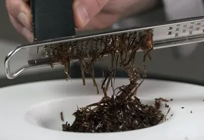 Parpaccio Hallon är den italienska vinägern som har förvandlats till fast form.