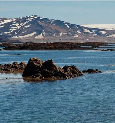 Med sina enorma tång- och algskogar och sin rika biologiska mångfald…