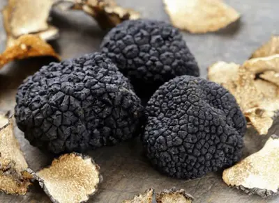 Från Real Swiss Cheese kommer Trüffeltraum, en ost på termiserad…