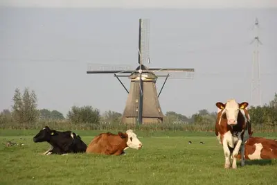 Från Marion kommer denna superhärliga ekologiska gouda som smaksatts…